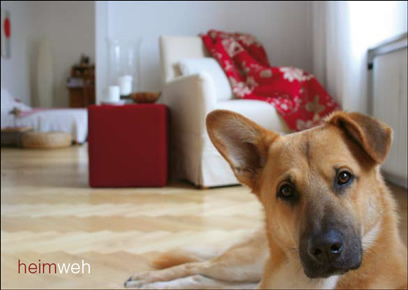 Heimweh kann so schön sein! Wir beziehen Sofas, Sessel, Kissen und Houssen in Frankfurt am Main und Umgebung. 